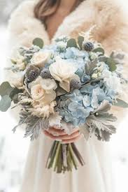 Hannah Vos (hannahvos2)