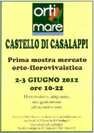 Di colore giallo, veniva usata in passato come chewing gum anche per la sua. Macchia Mediterranea Archives Giardinaggio Piante E Fiori
