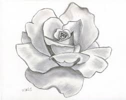 How to make a easy drawing flower step by step. Flowers Drawings Inspiration Pencil Sketch Drawing Of Flowers See More About Pencil Sketch Drawing Of Flowe Flowers Tn Leading Flowers Magazine Daily Beautiful Flowers For All Occasions