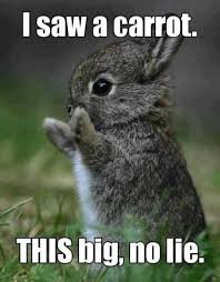 Check spelling or type a new query. Happy Easter 2020 Memes Funny Jokes To Share Via Instagram Whatsapp Facebook On 12th April Gadget Freeks