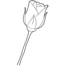 In this collection, we have handpicked the best nice valentines day images that you can valentine's day is just around the corner and it's time to get prepared for it. How To Draw Long Stem Roses Drawing Tutorial For Valentines Day How To Draw Step By Step Drawing Tutorials