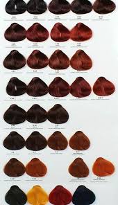 Pin By Elisha Benjamin On Hair Stuff Curly Hair Inspiration Dyed Hair Red Hair Inspiration