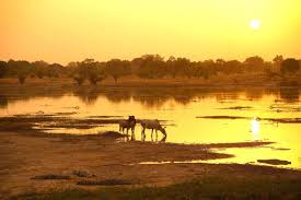 As they come through the pandemic, india's large public sector banks are completing mergers with. World Bank Supports Burkina Faso S Rural Solar Electrification With 168m Pv Magazine International