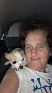 Chihuahua gets pawdecure and car nap