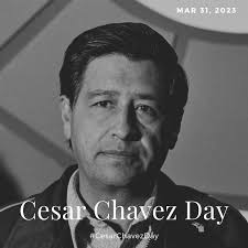 Elizabeth Rico-Macias