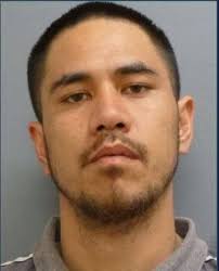 Auckland's 'most wanted'