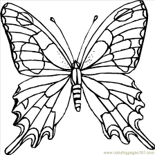 Download and print out—for free!—these 25 printable butterfly coloring pages for adults and kids to color this spring. Grab Lovely Coloring Pages Butterfly Printable To Get Inspired