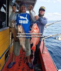 Ikan laut dangkal, majalahhewan.com | bagi sahabat yang doyan banget ama mancing, bahkan,hi hi hi…… yang terkadang lupa waktu ( mancing malam memancing sambil berdiri di garis pantai atau mengarungi ombak, di pantai berbatu, dermaga adalah salah satu kegiatan olahraga yang disebut. Tersentak Bila Umpan Disambar Kuat Tenggiri Utusan Borneo Online