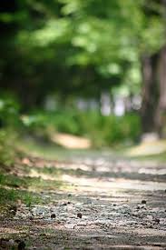Dslr Blur Nature Background Hd Share your blur background : dslr blur nature background hd