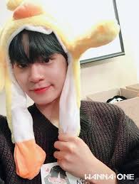 Inilah akun instagram pribadi member wanna one, . Wanna One Fancafe Instagram Tbonwyw1 Twitter Jinyoung Kim Jaehwan Lee Daehwi