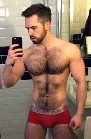 Pin On Hommes Poilus