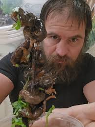 Delicious Carnitas and Chitterlings at Carnicerias Jimenez