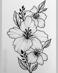 Pictures of flowers to draw. 25 Beautiful Flower Drawing Information Ideas Brighter Craft Beautiful Flower Drawings Flower Sketches Flower Drawing