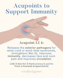 The 4 Pressure Points An Acupuncturist Uses To Support Immunity Pressure Points Acupressure Points Mindbodygreen
