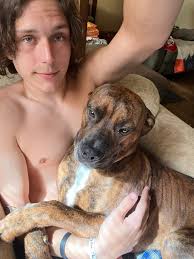 Lost puppy in Dayton, Ohio area