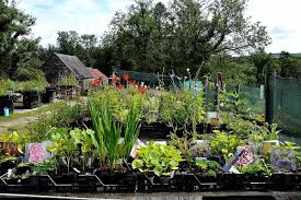 Maybe you would like to learn more about one of these? Caherhurley Nursery Posts Facebook