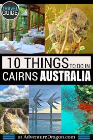 Top 10 Things To Do In Cairns Australia Australia Tourist Attractions Australia Tourist Cairns Australia