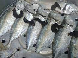 Cara membuat infusoria menggunakan sayur kol atau kubis. Cara Cara Buat Ikan Lengat Homemade Untuk Stok Sahur Bulan Puasa Nanti