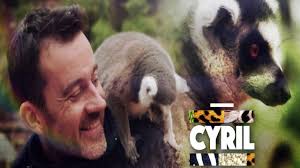 Actualité le 08/04/2019 à 10h30. La Saison 10 A Demarre Youtube