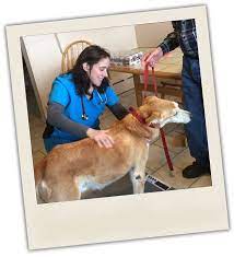Enter your zip code to find your local clinic. Mobile Vet Services Mobile Veterinary Clinic Housepaws
