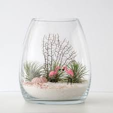 7 Idees Pour Un Terrarium Vegetal Original Air Plant Terrarium Plants Terrarium