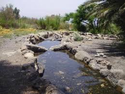 תוצאת תמונה עבור תמונה קיבוץ גונן