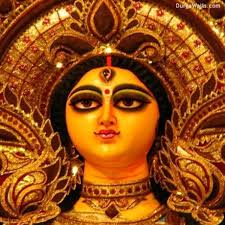 MH Collection Mosquito Net/Machhardani