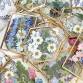 Workshop- Pressed Flower Suncatchers event image