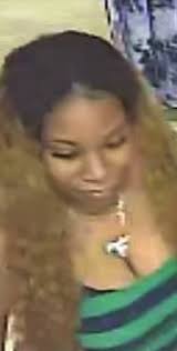 Determined mom gets to see son's dream park New school year bringing  changes New pet gear protects against hawks