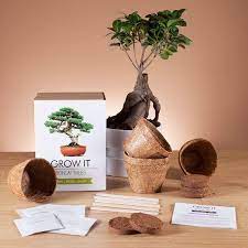 We did not find results for: Grow It Bonsai Tree Buy From Prezzybox Com