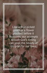 New Flowers Quotes Inspirational God Ideas Flower Quotes Inspirational Flower Quotes Love Life Quotes