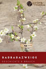 Barbarazweige Alles Uber Geschichte Brauche Und Die Heilige Barbara 4 Dezember Barbarazweige Gemutliche Weihnachten Beltane Adventkalender