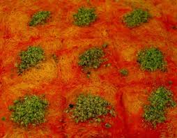 كنافة خشنة Arabic Sweets Arabic Food Traditional