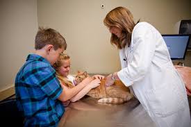 Maybe you would like to learn more about one of these? Pet Emergency Specialty Center La Mesa 5232 Jackson Dr Ste 105 La Mesa Ca Veterinarian Emergency Services Mapquest