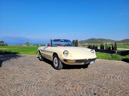 Image result for Avorio 1982 Alfa-Romeo