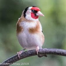 epingle sur طورة الحسزن