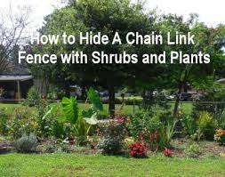 Perhaps more importantly, don't gear your planting to just part of the year, but rather to all four seasons. Hiding Chain Link Fences