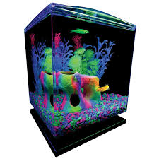 Check spelling or type a new query. Glofish Aquarium Kit 1 5 Gallons Easy Setup And Maintenance Perfect Starter Tank Walmart Com Walmart Com
