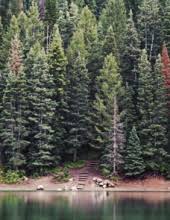 Obituary information for Joseph Bianchini