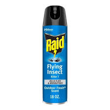 Raid Essentials Ant & Spider Killer Pressurized Spray 350G | Quecan  Distribution