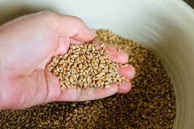 Check spelling or type a new query. How To Use A Grain Mill To Make Your Own Flour From Wheat Berries The Prairie Homestead