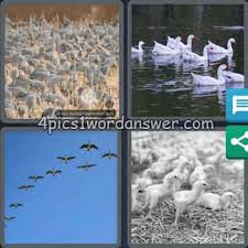 All weeks are starting on monday and ending on sunday. 4 Pics 1 Word Bonus Puzzle June 16 2020 4 Pics 1 Word Daily Puzzle Answers