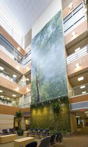 Connecting Sustainability To The Healthcare Mission Healthcare Architecture Hospital Architecture Healthcare Design