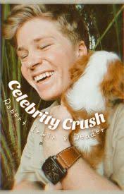 Sweet Summer Sunsets- A Robert Irwin FanFic