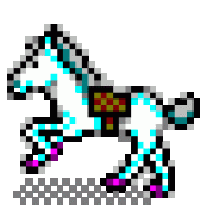 What Age To Retire A Horse From Riding New Rider Forum
