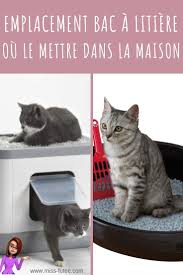 Emplacement Bac A Litiere Du Chat Ou L Installer En 2020 Conseils Pour Chat Bac A Litiere Bac A Litiere Chat