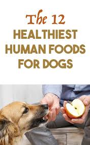 12 Healthy Human Foods Dogs Can Eat Human Food For Dogs Foods Dogs Can Eat Dog Food Recipes