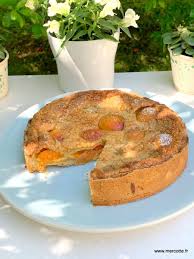 Mirliton Aux Abricots Christophe Felder Sort De Ce Corps En 2020 Gateau Aux Abricots Frais Recette Dessert Recette Dessert Facile