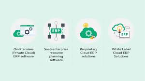 ERP System Examples: Types of ERP Systems? | 10X ERP