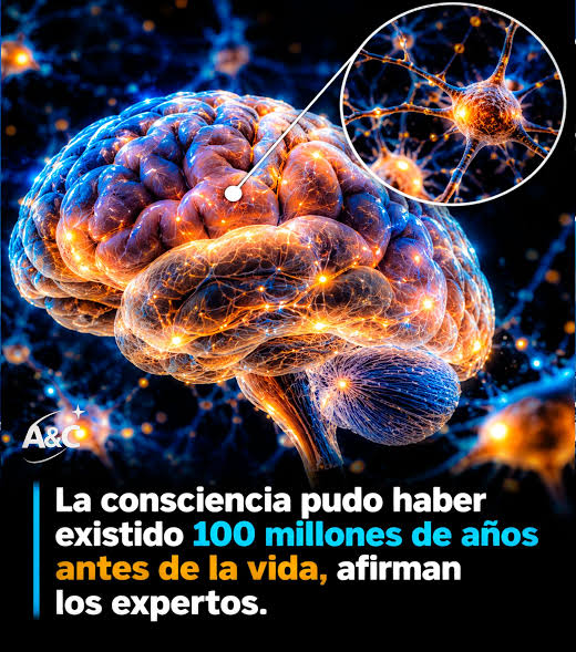  ¿PUDO EXISTIR LA CONCIENCIA ANTES DE LA VIDA? UNA HIPÓTESIS QUE PODRÍA  CAMBIAR NUESTRA COMPRENSIÓN DEL UNIVERSO ☄️  La conciencia es uno de  los mayores misterios de la ciencia. ¿Cómo